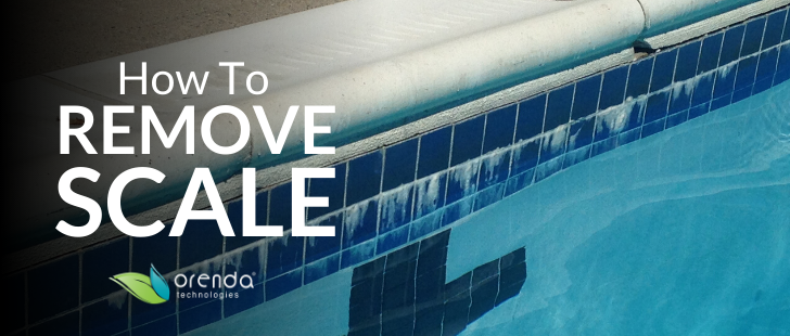 How To Soften And Remove Scale